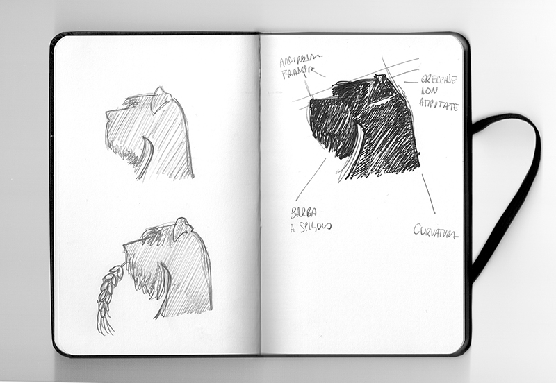 Studi preliminari progettazione logotipo