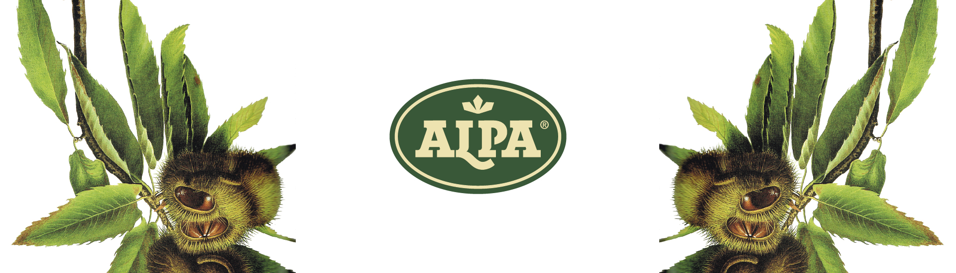 logo alpa castagne caldarroste