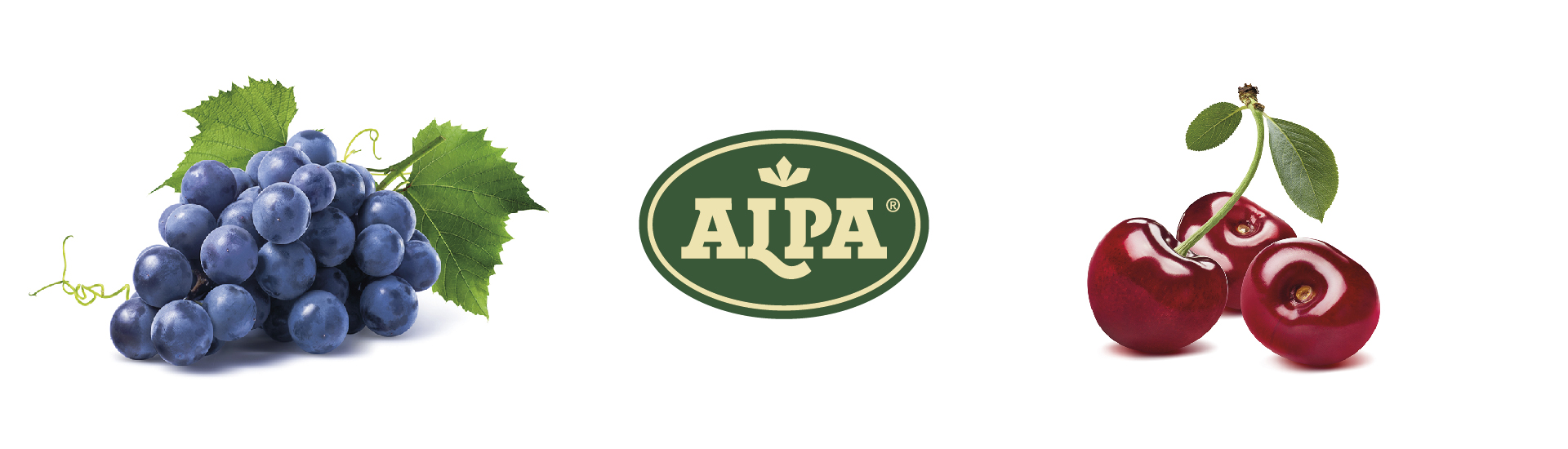 logo Alpa Calabria